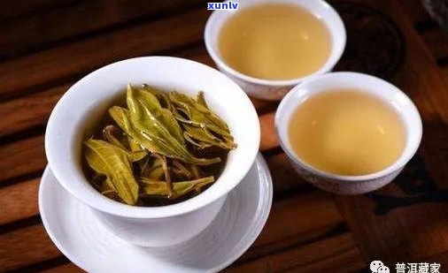 天然的普洱茶生茶-普洱茶生茶好吗