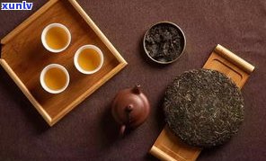 普洱茶散茶紧压茶：种类、区别及全解析