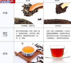 普洱茶：熟茶还是生茶？从定义、制作工艺到口感区别全解析