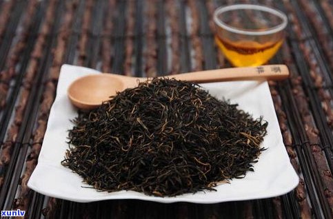 茶坪普洱茶古树茶价格表与特点全解析