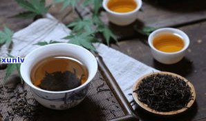 深入了解：乌龙茶与黑茶的区别及其功效