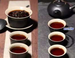 乌龙茶普洱茶黑茶-黑乌龙茶和普洱茶的区别