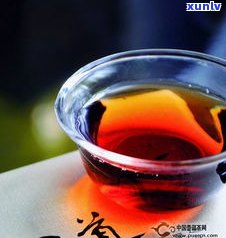 老普洱茶的标杆茶：品种、特点及推荐