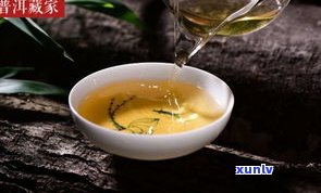 试喝普洱茶组合茶：效果如何？正确试茶方法与混饮技巧