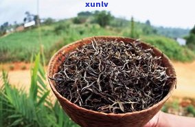 刮油普洱生茶还是熟茶：效果对比与选择建议