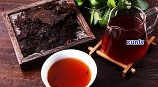 刮油的茶是普洱茶-刮油的茶是普洱茶吗