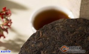 普洱茶熟茶转化期-普洱茶熟茶转化期多久