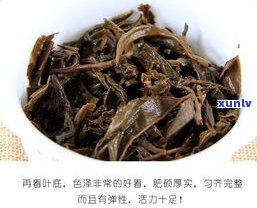 金丝贡饼生茶：中茶出品，2007年昆明茶厂生产