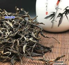 普洱茶：熟普还是生普？哪种更好？