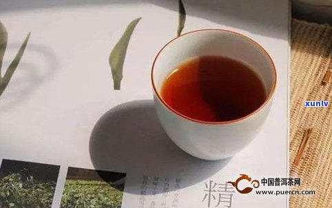 普洱茶喝熟茶还是-普洱茶喝熟茶还是生茶