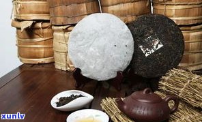 普洱茶防虫措施：怎样防止茶饼生虫、蛀虫？