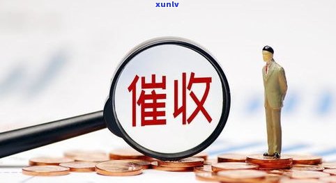 催收何时取缔？呼吁全面停止催收行业活动