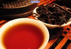 普洱茶有常规茶吗？了解其种类与范围