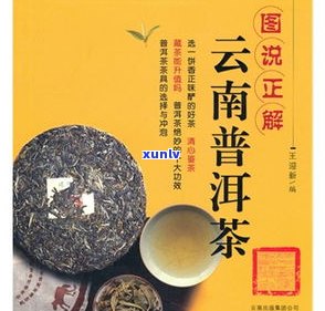 详解云南普洱茶与藏茶的区别：营养、产地、制作工艺全方位比较