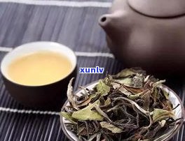 煮白茶、黑茶、普洱茶：放多少水最合适？方法是否相同？