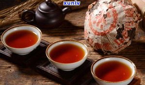 深度解析：茯苓黑茶与普洱茶的区别及特点