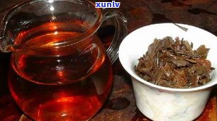 深度解析：茯苓黑茶与普洱茶的区别及特点