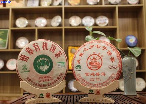 普洱茶十大名牌七子：价格、含义与茶饼一览