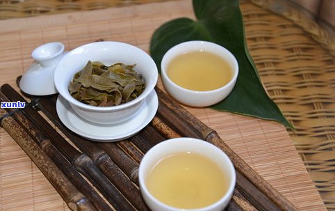 普洱茶撬开的散茶还能喝吗？功效、毒性及保存方法全解析