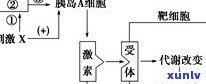 玉镯发光的原因：探索其科学原理与影响因素