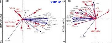 玉镯发光的原因：探索其科学原理与影响因素