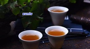 养生茶普洱茶搭配什么最好？口感与健康兼得的最佳选择！