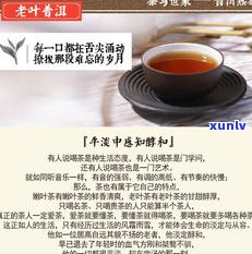 普洱茶熟茶是温性的吗？探究其性质