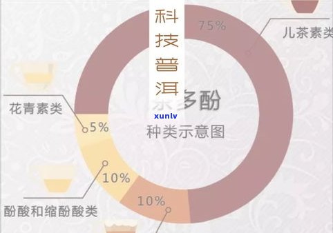 详解普洱茶评茶八要素及其术语大全