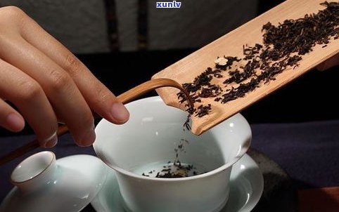 普洱茶喝之前要醒吗？正确冲泡步骤全解析