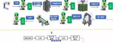 深入解析：普洱茶紧压茶制作工艺、流程与品质特征