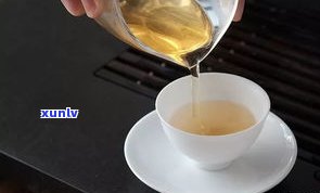 普洱茶的生茶简介-普洱茶的生茶简介和特点