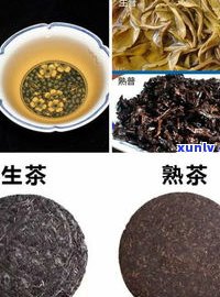 普洱茶熟茶的分类-普洱茶熟茶的分类标准