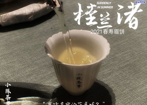 黑茶比普洱茶好？口感、品质、健康效果全面比较！