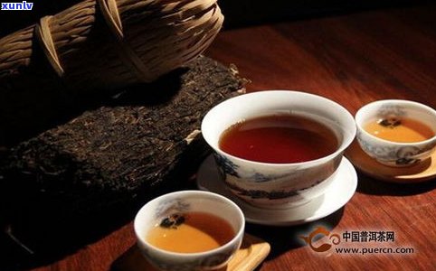 黑茶比普洱茶好喝-黑茶比普洱茶好喝吗