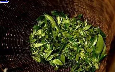 黑茶比普洱茶好喝-黑茶比普洱茶好喝吗