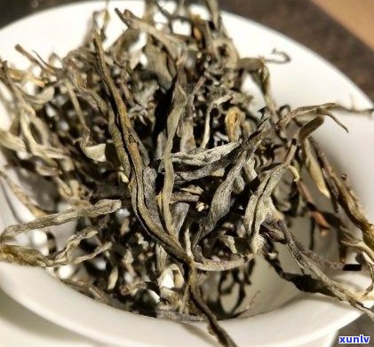 普洱茶的茶区特色-普洱茶的茶区特色是什么