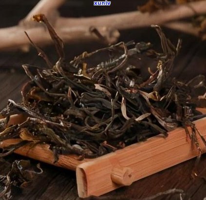 普洱茶的茶区特色-普洱茶的茶区特色是什么
