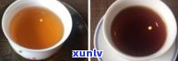 普洱茶是否有熟茶？为什么只有普洱茶有熟茶？熟茶与生茶有何区别？普洱茶是否只能做成饼状？