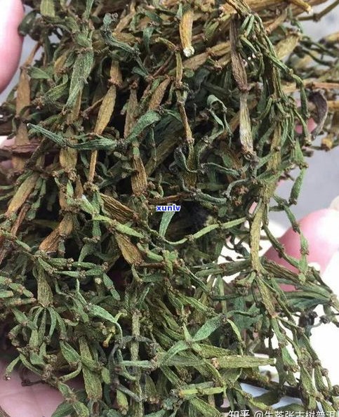 普洱茶熟茶的好处、功效与副作用全解析