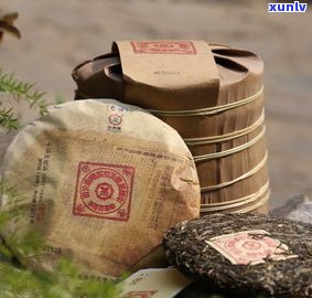 柒伍捌壹普洱茶价格及品质评测，中茶品牌推荐