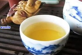 古茶林普洱茶视频介绍大全：深入熟悉普洱茶的魅力