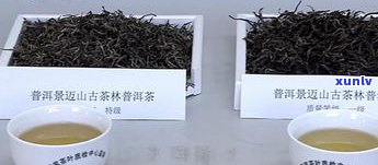 古茶林普洱茶：品牌、价格一览