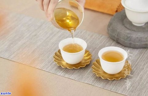 探究普洱茶的各种茶性特征