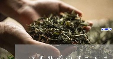 中茶普洱茶大卖点-中茶普洱茶大卖点在哪