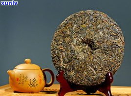 鸿蒙普洱茶：老罗的品茗之旅