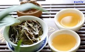 味道像普洱的茶：种类、特点及识别方法