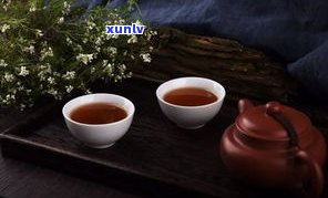 和普洱茶类似的茶-和普洱茶类似的茶有哪些