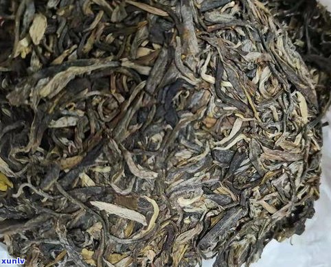 普洱茶属于哪种茶性？探讨其特别的茶性质与特点