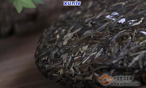 普洱茶的属性：属于哪种性质的茶？