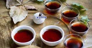 茶树王普洱茶熟茶：功效、保质期及价格全解析